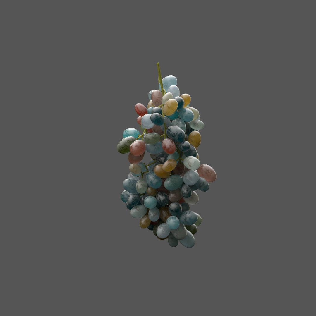 GRUNDFORM - Grape Vines Collection 3D model_16