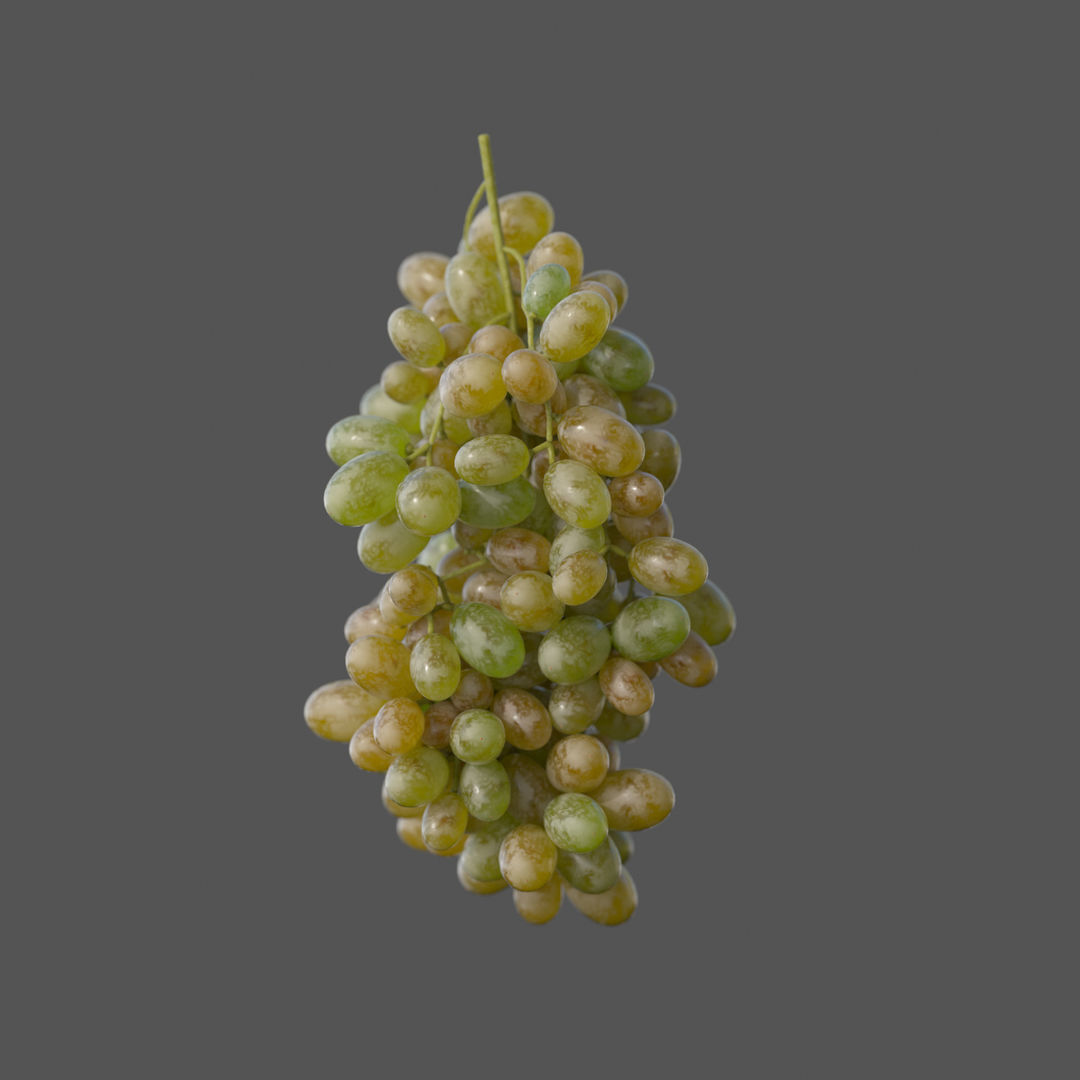 GRUNDFORM - Grape Vines Collection 3D model_11