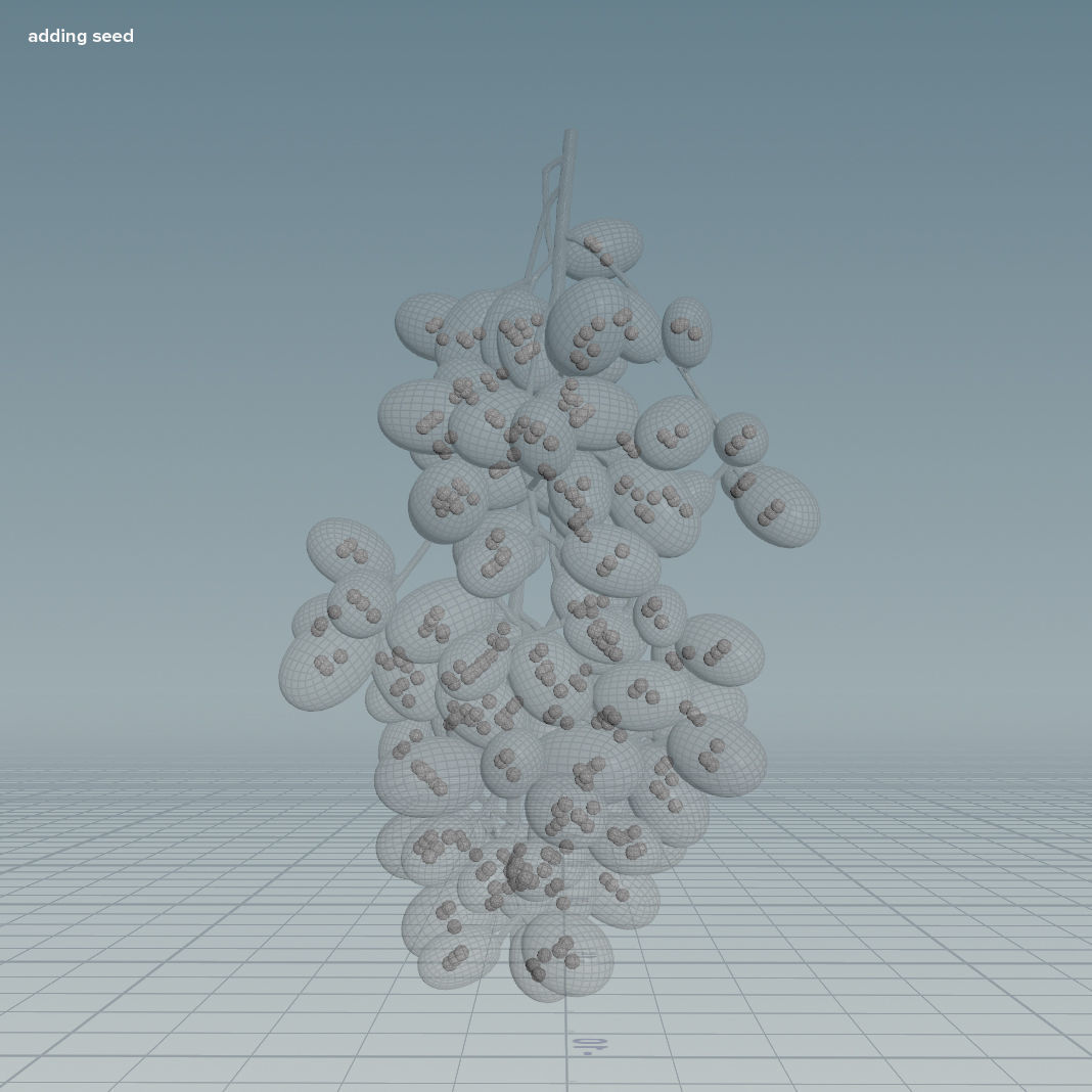 GRUNDFORM - Grape Vines Collection 3D model_22