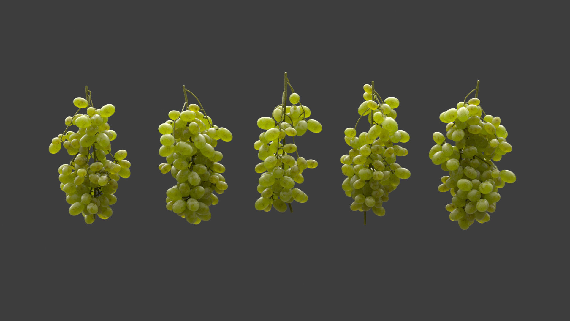 GRUNDFORM - Grape Vines Collection 3D model_1