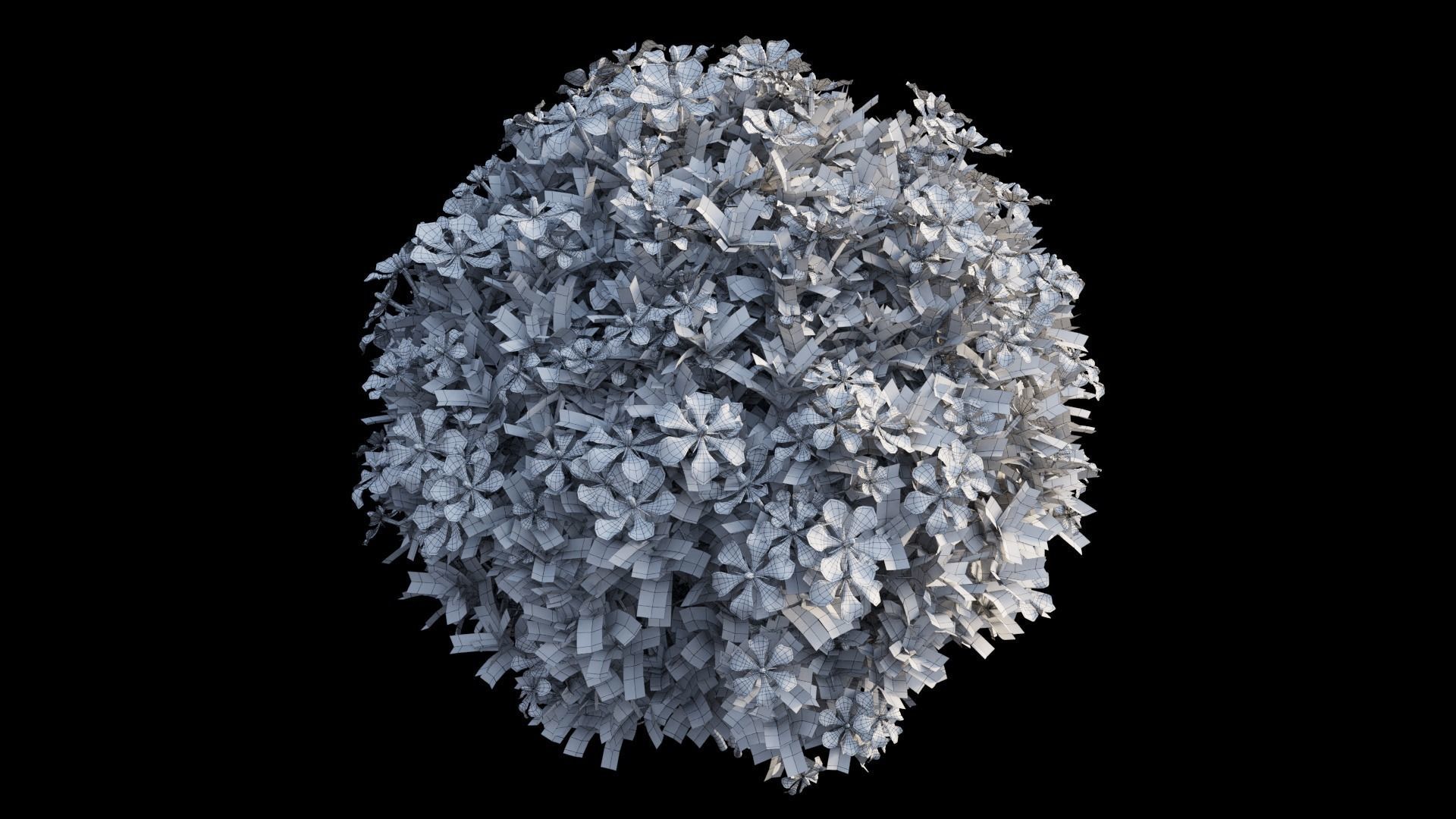 Gardenia angustifolia Merr plant set 13 3D model_5