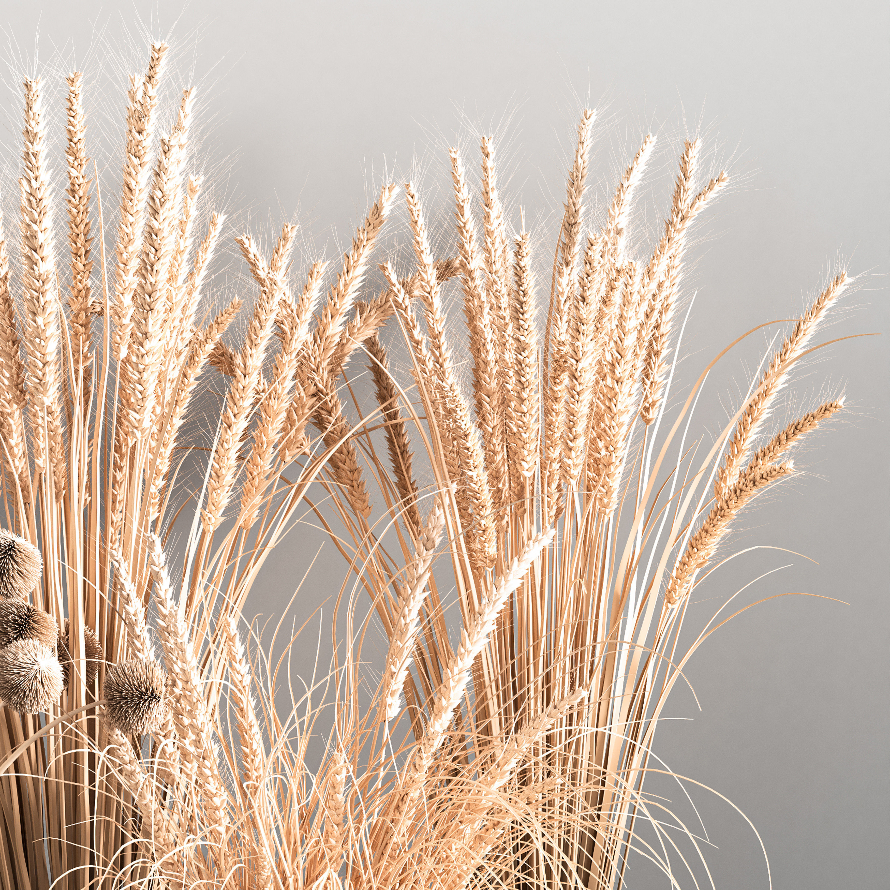 Bouquet collection 01 3D model_3