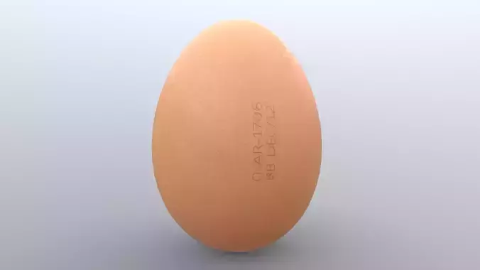 Organic Chicken Egg 4K PBR with Volumetric Scattering Low-poly 3D model