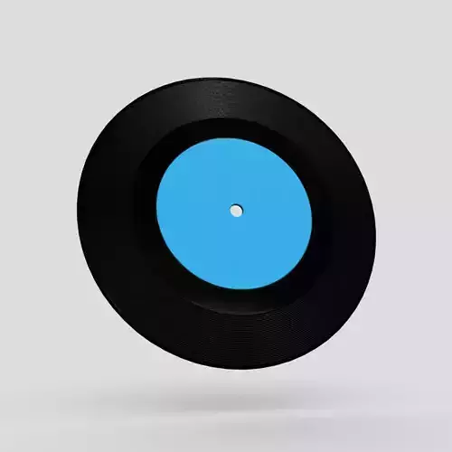 Vinyl Record 2