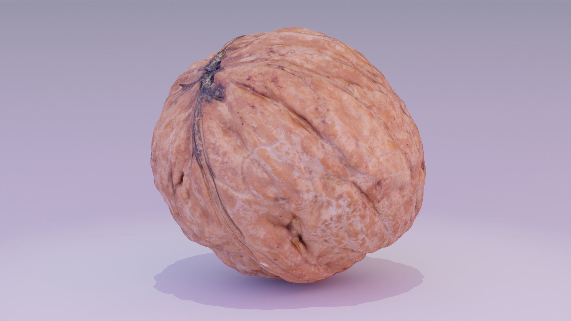 Walnut fruit 02 high-poly 3D model_16