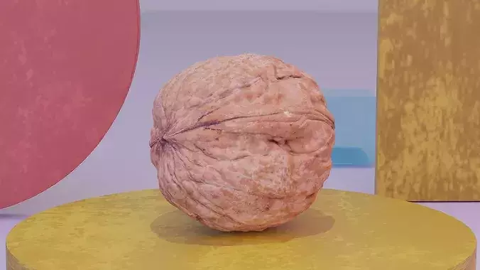 Walnut fruit 02 high-poly 3D model 3