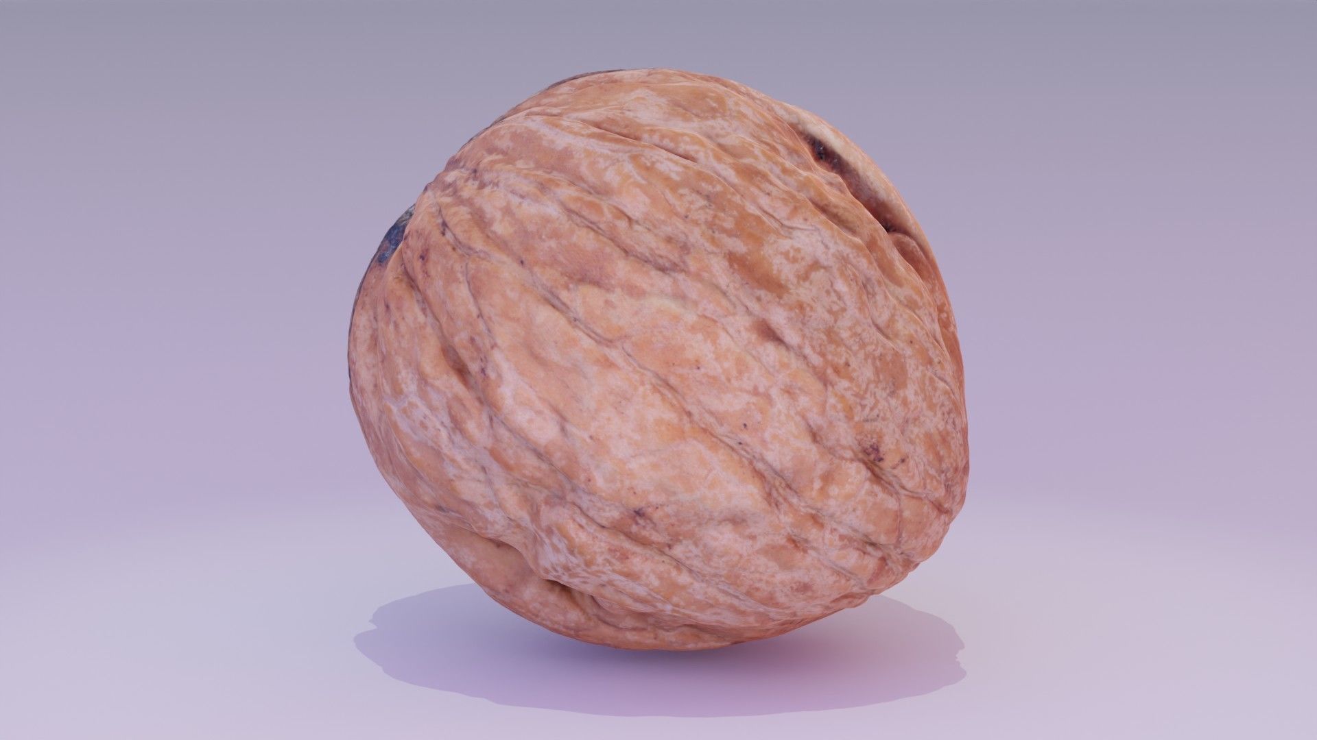 Walnut fruit 02 high-poly 3D model_15