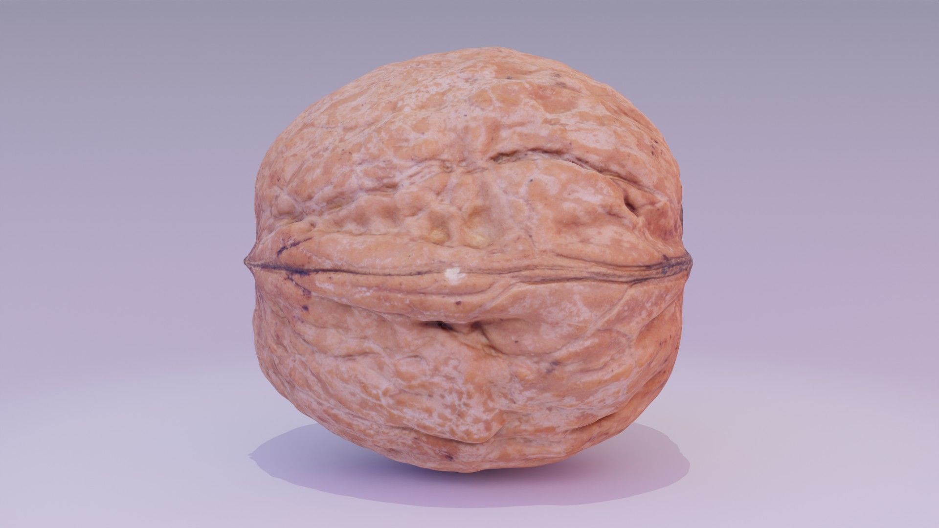 Walnut fruit 02 high-poly 3D model_11