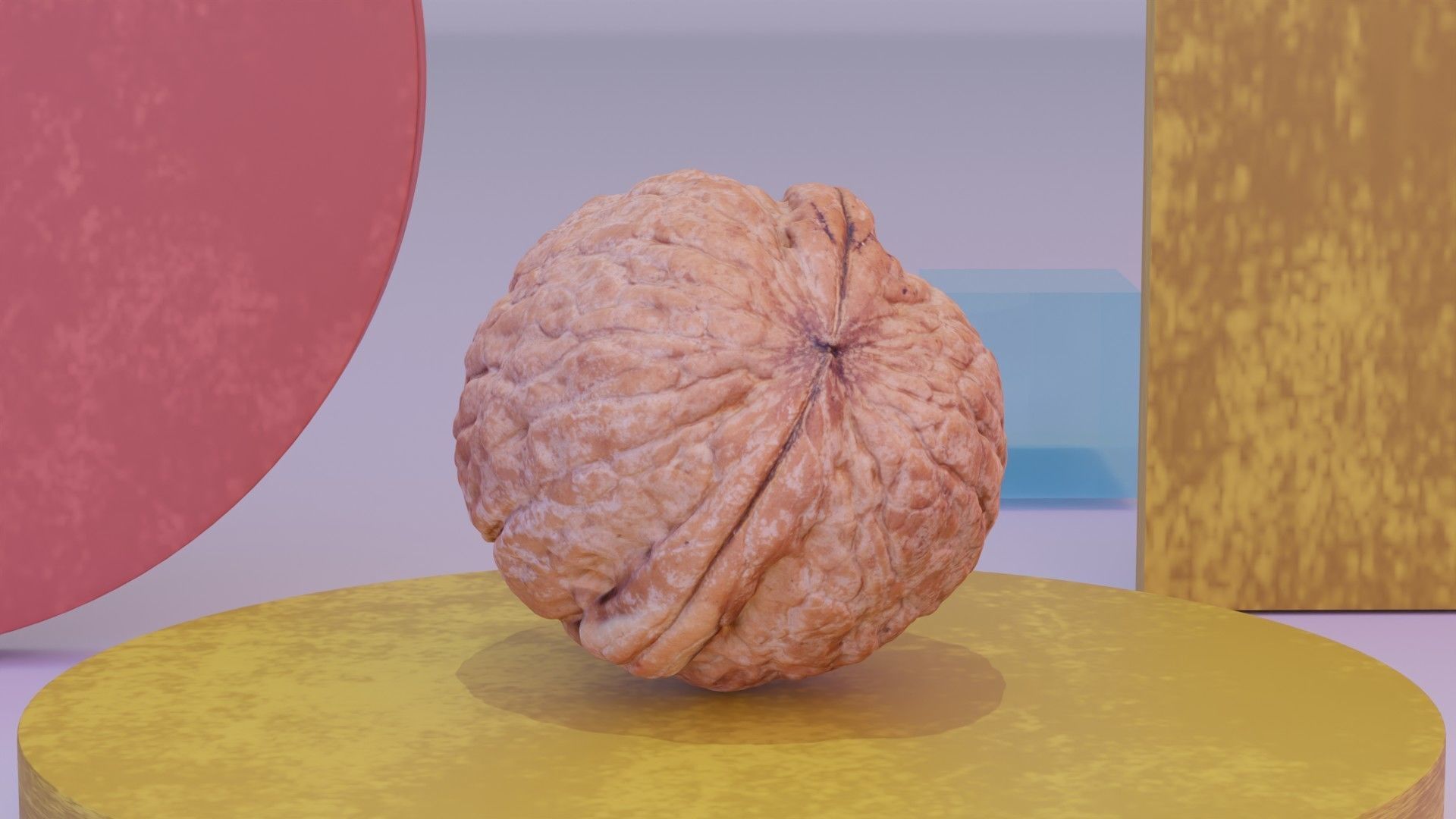 Walnut fruit 02 high-poly 3D model_4