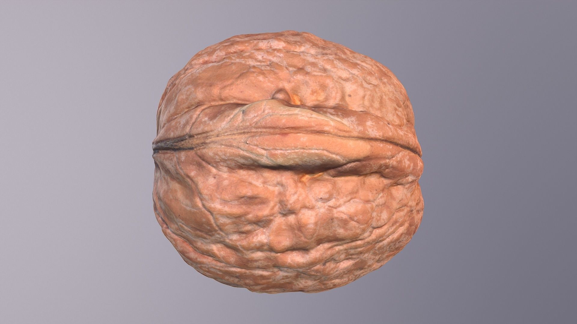 Walnut fruit 02 high-poly 3D model_32