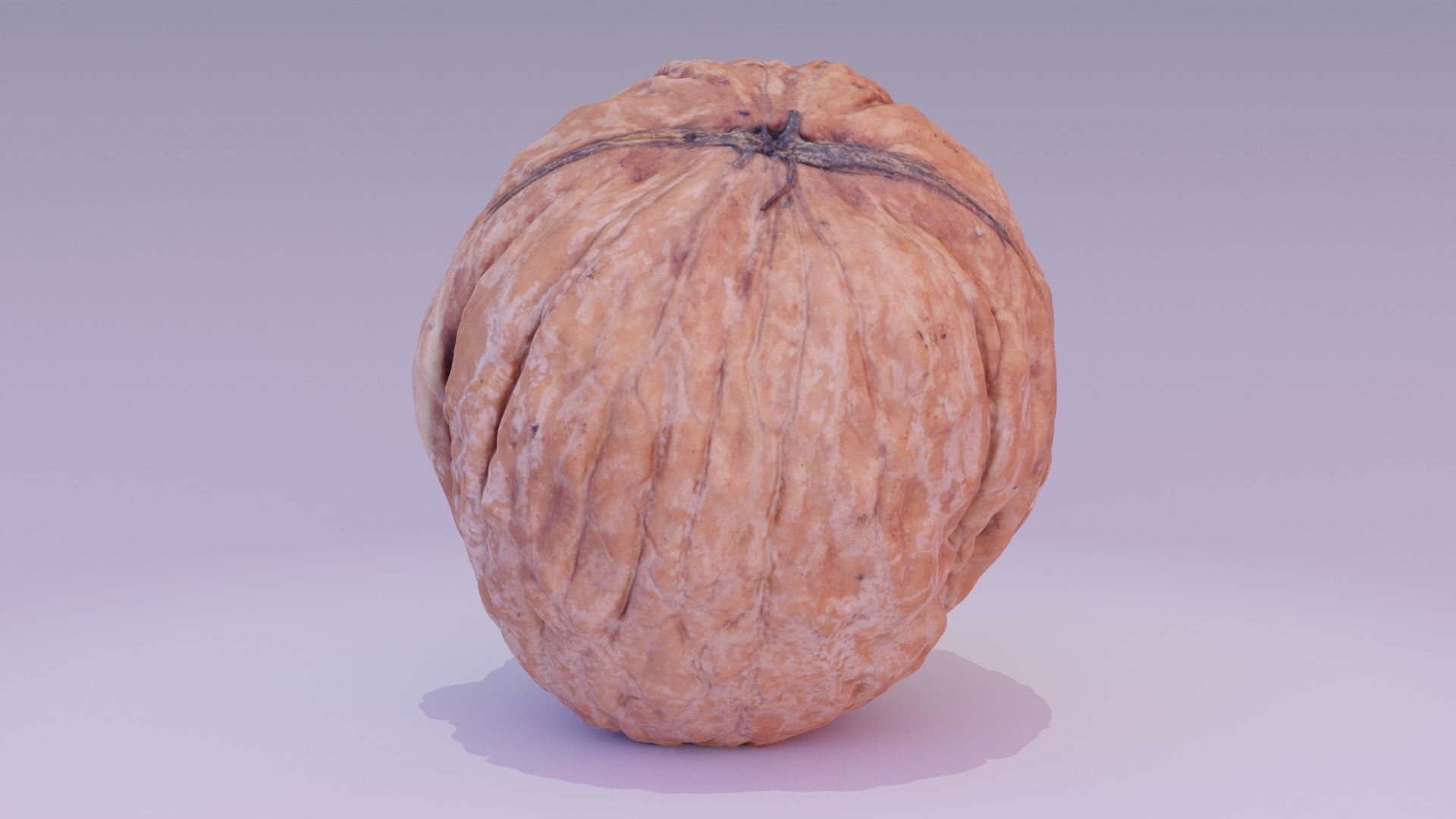 Walnut fruit 02 high-poly 3D model_18