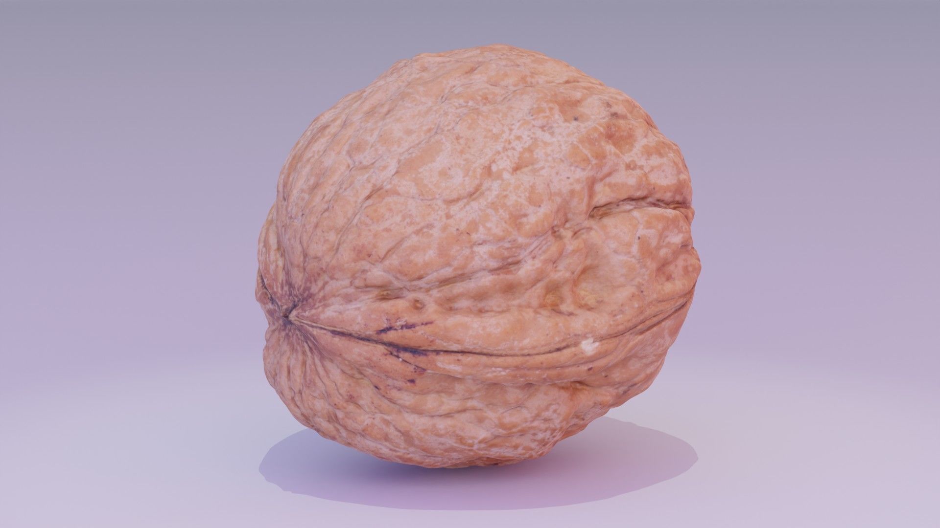 Walnut fruit 02 high-poly 3D model_12