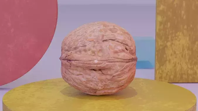 Walnut fruit 02 high-poly 3D model 2