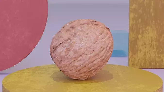 Walnut fruit 02 high-poly 3D model 7