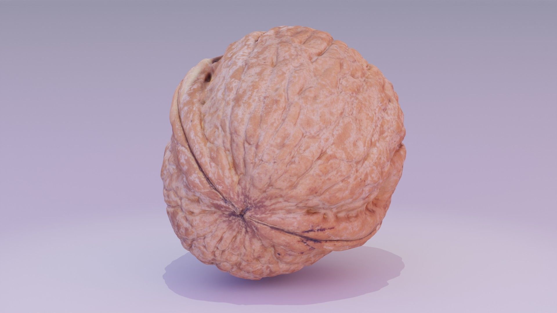 Walnut fruit 02 high-poly 3D model_13