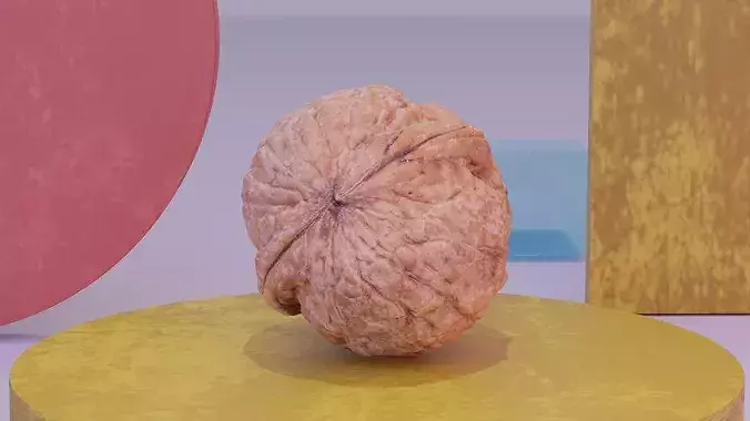 Walnut fruit 02 high-poly 3D model 4