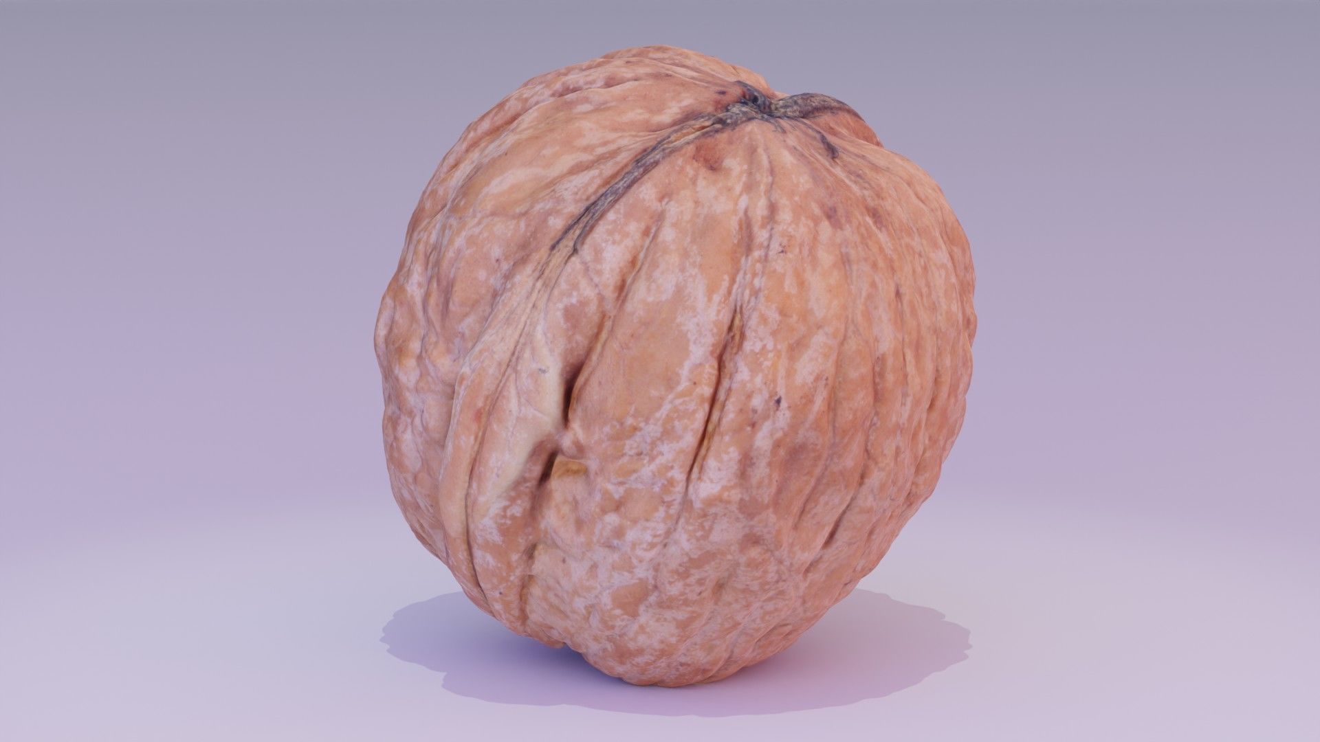 Walnut fruit 02 high-poly 3D model_19