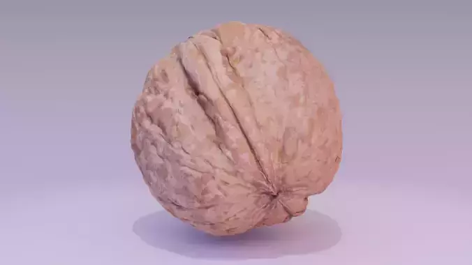 Walnut fruit 02 high-poly