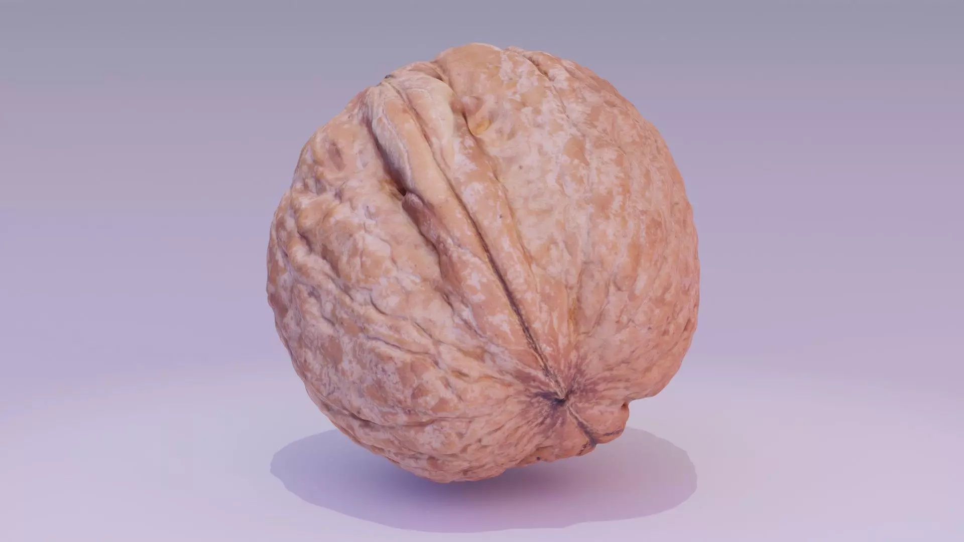 Walnut fruit 02 high-poly 3D model_0