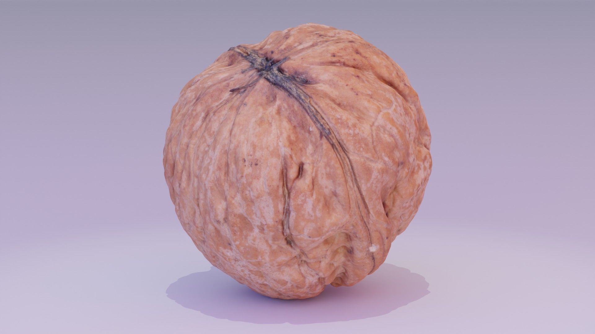 Walnut fruit 02 high-poly 3D model_17