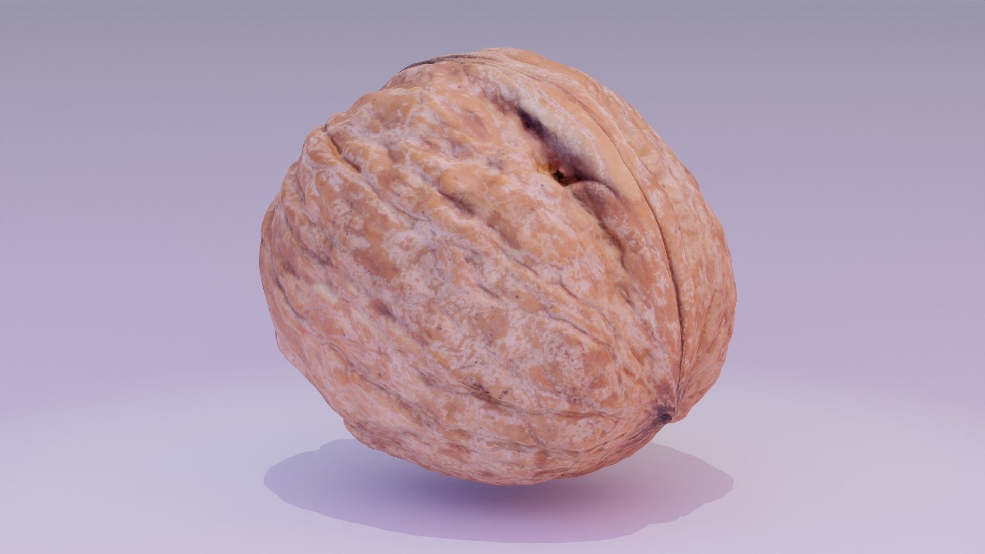 Walnut fruit 02 high-poly 3D model_14
