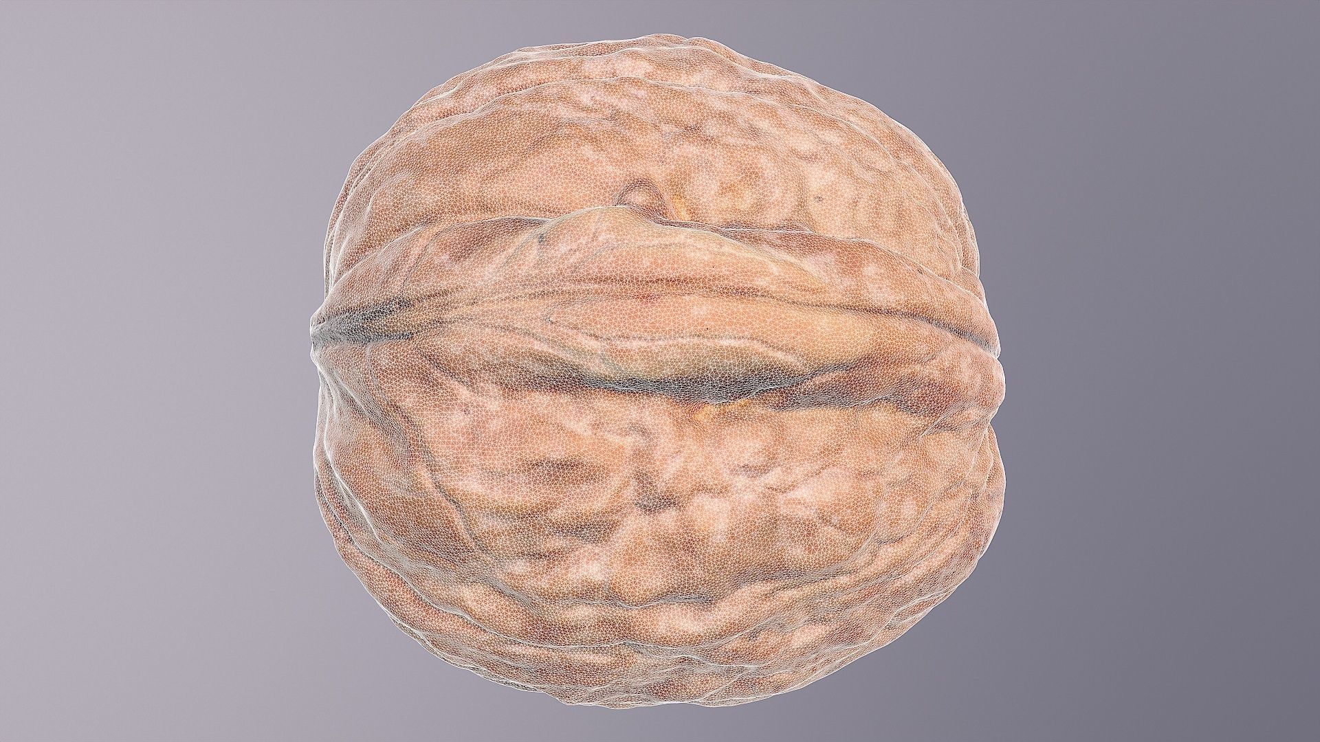 Walnut fruit 02 high-poly 3D model_33