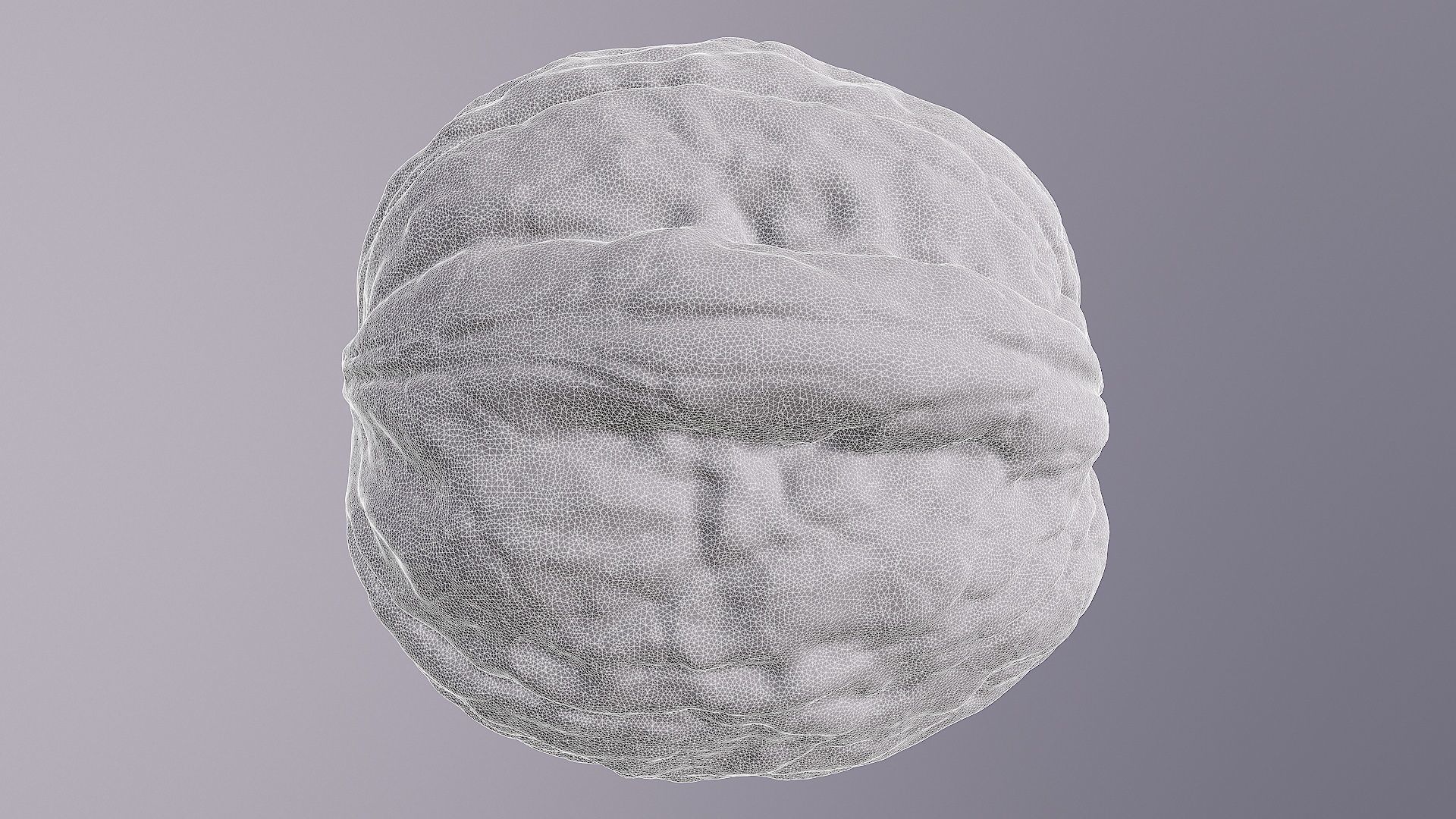 Walnut fruit 02 high-poly 3D model_34