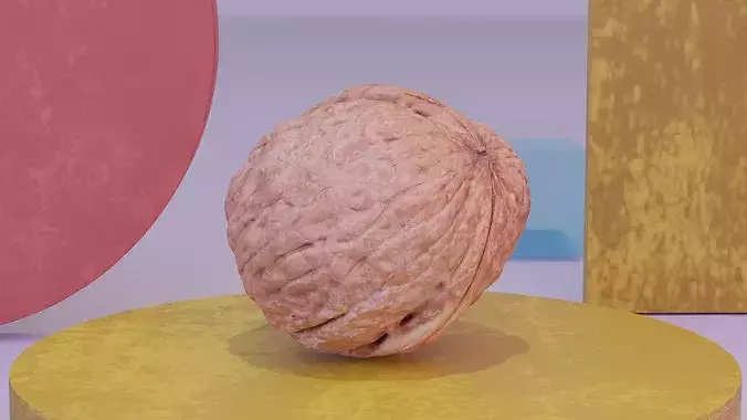 Walnut fruit 02 high-poly 3D model 6