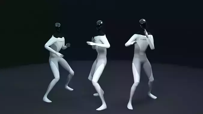 Tesla bot animation fighters Low-poly 3D model