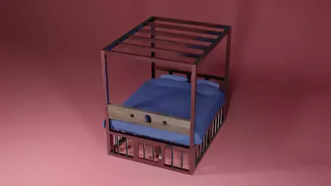 BDSM bed