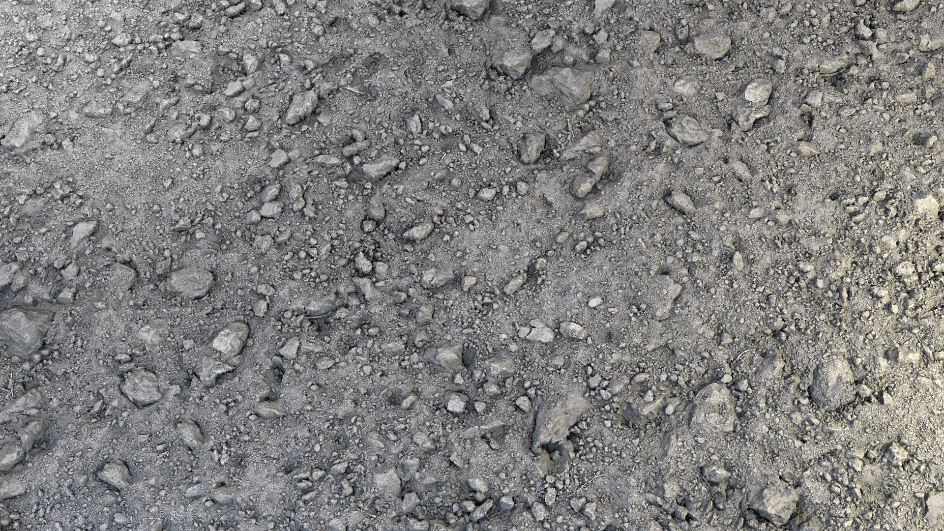Ground-Humus 04 Texture_2