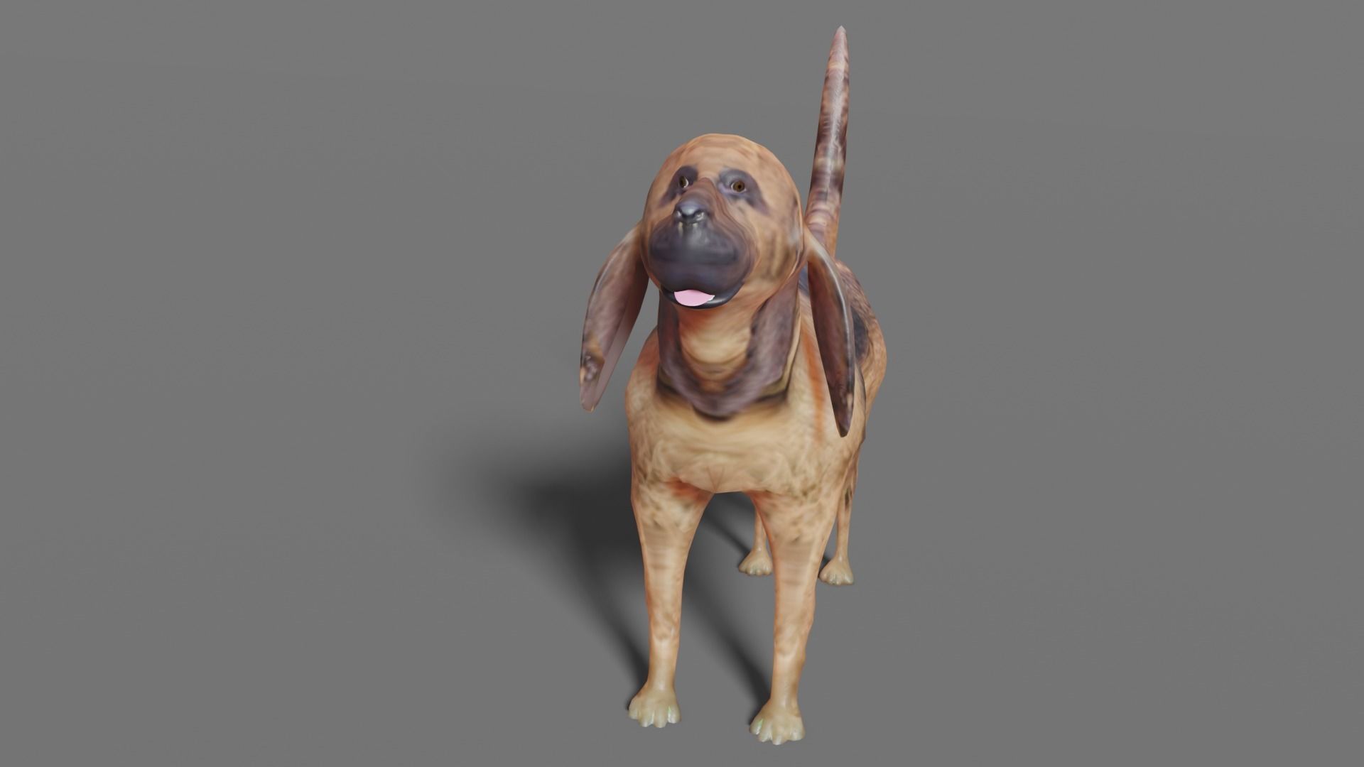BLOODHOUND hound dog Low-poly 3D model_6