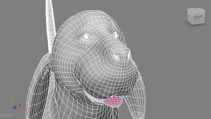 BLOODHOUND hound dog Low-poly 3D model_5