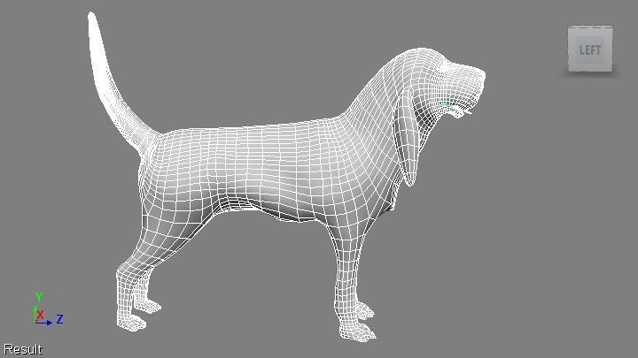 BLOODHOUND hound dog Low-poly 3D model_9