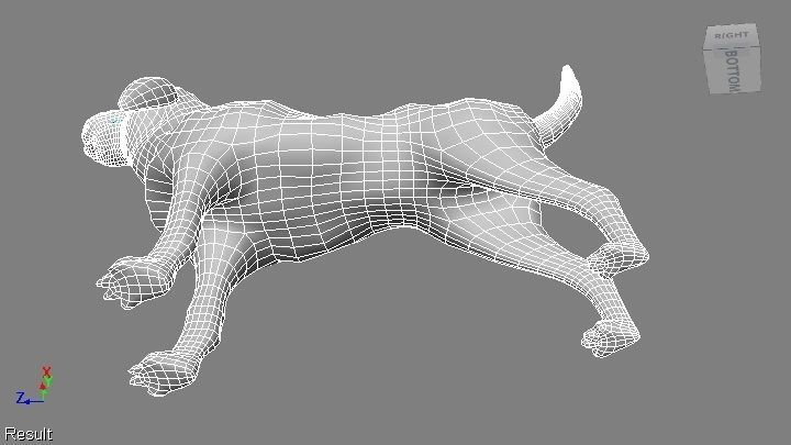 BLOODHOUND hound dog Low-poly 3D model_11