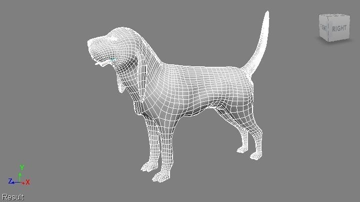 BLOODHOUND hound dog Low-poly 3D model_1