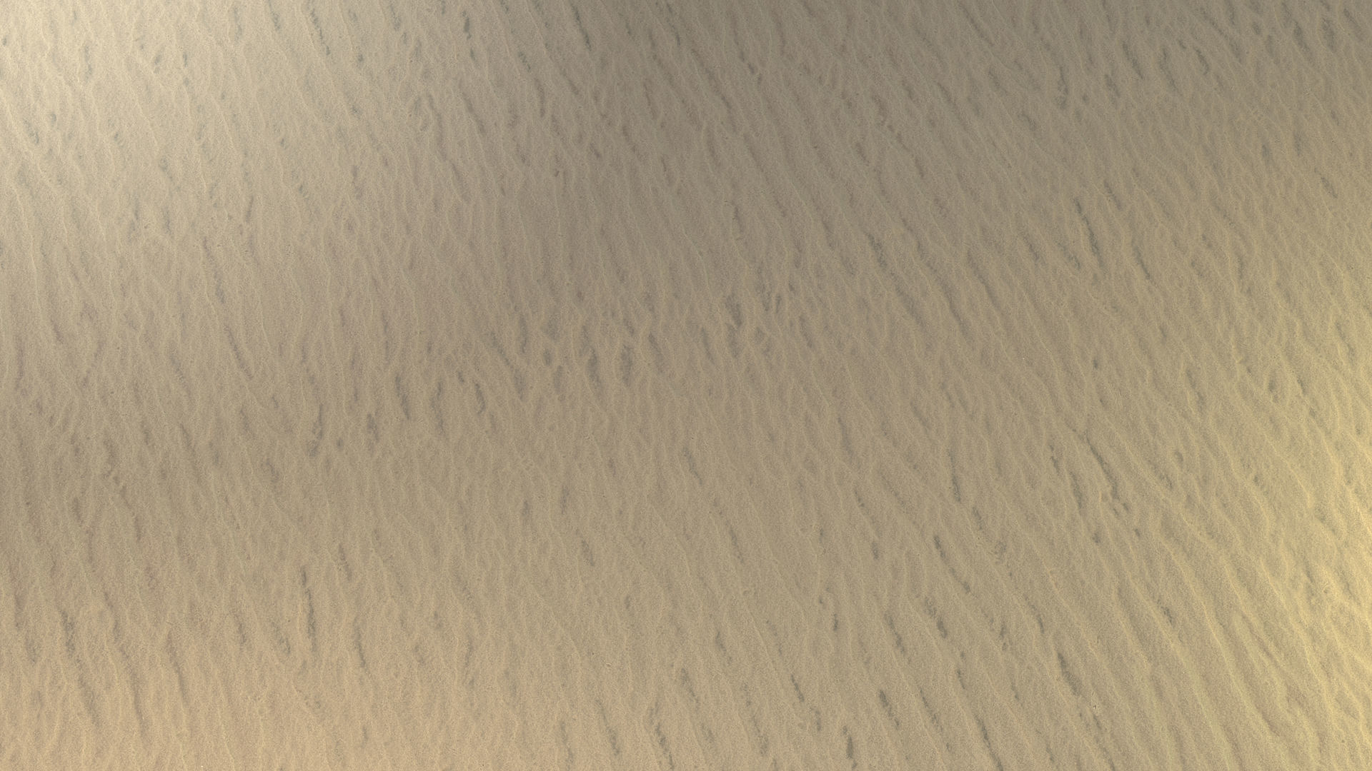 Sand-Small 01 Texture_2