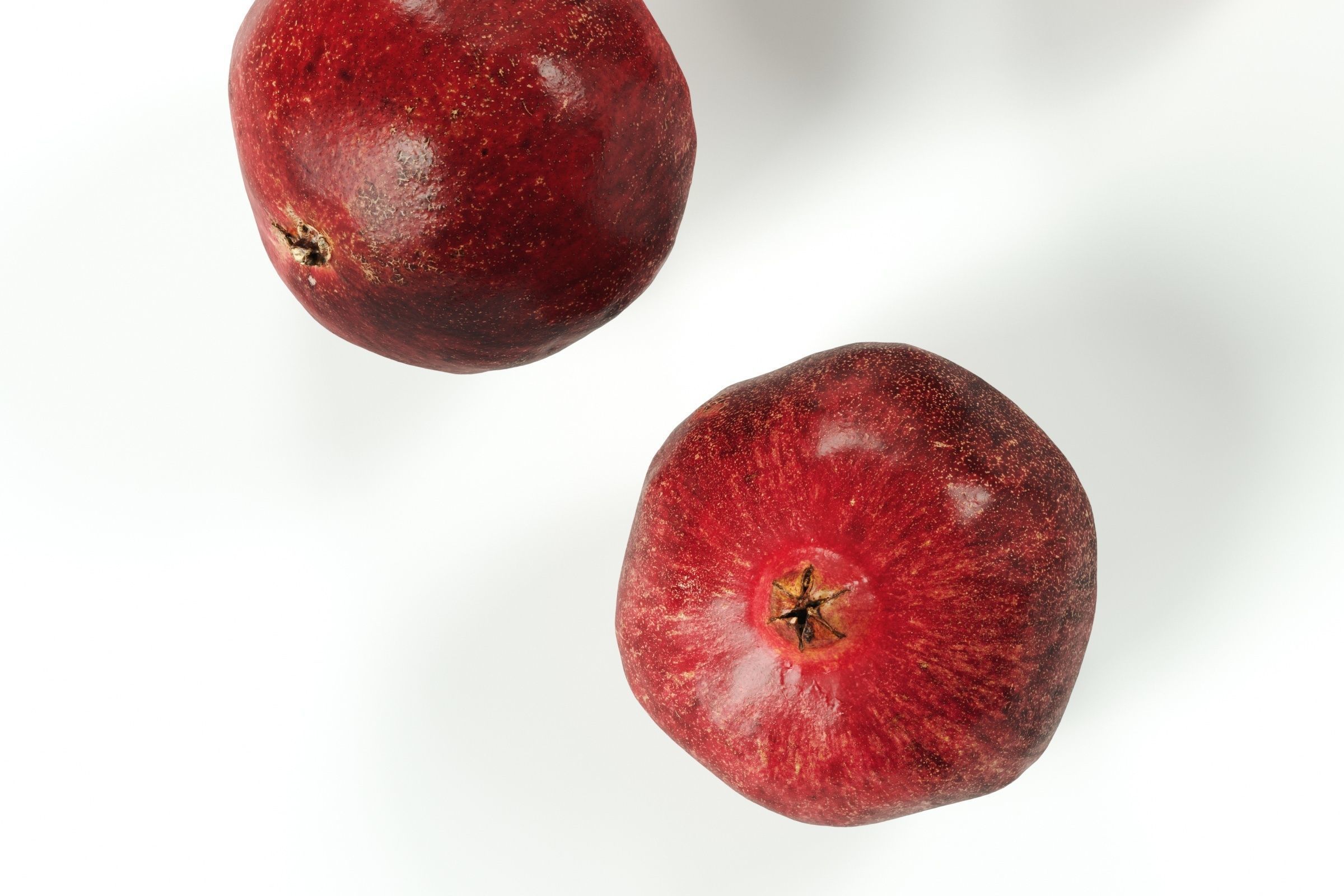 POLYPASTA - Pomegranate 01 3D model_3