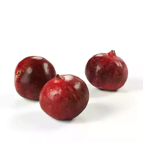 POLYPASTA - Pomegranate 01