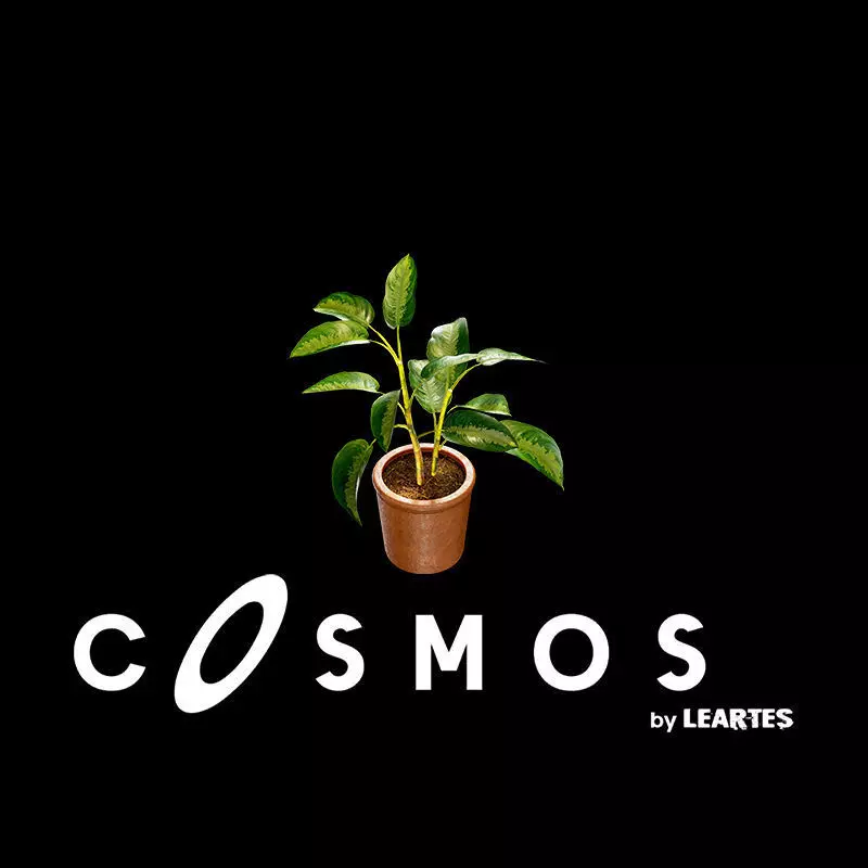 Flower Pot Low-poly 3D model_0