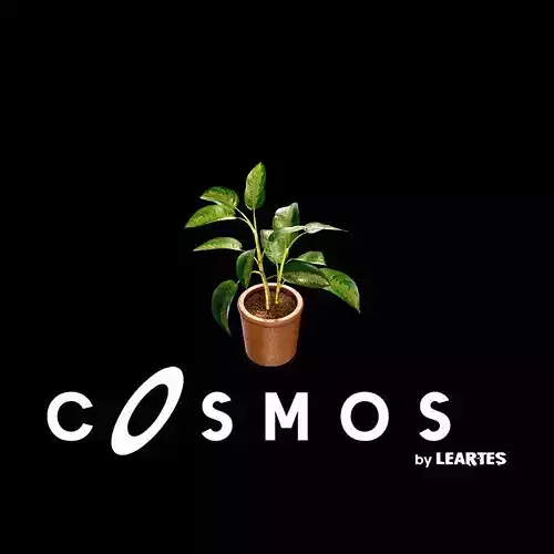 Flower Pot Low-poly 3D model