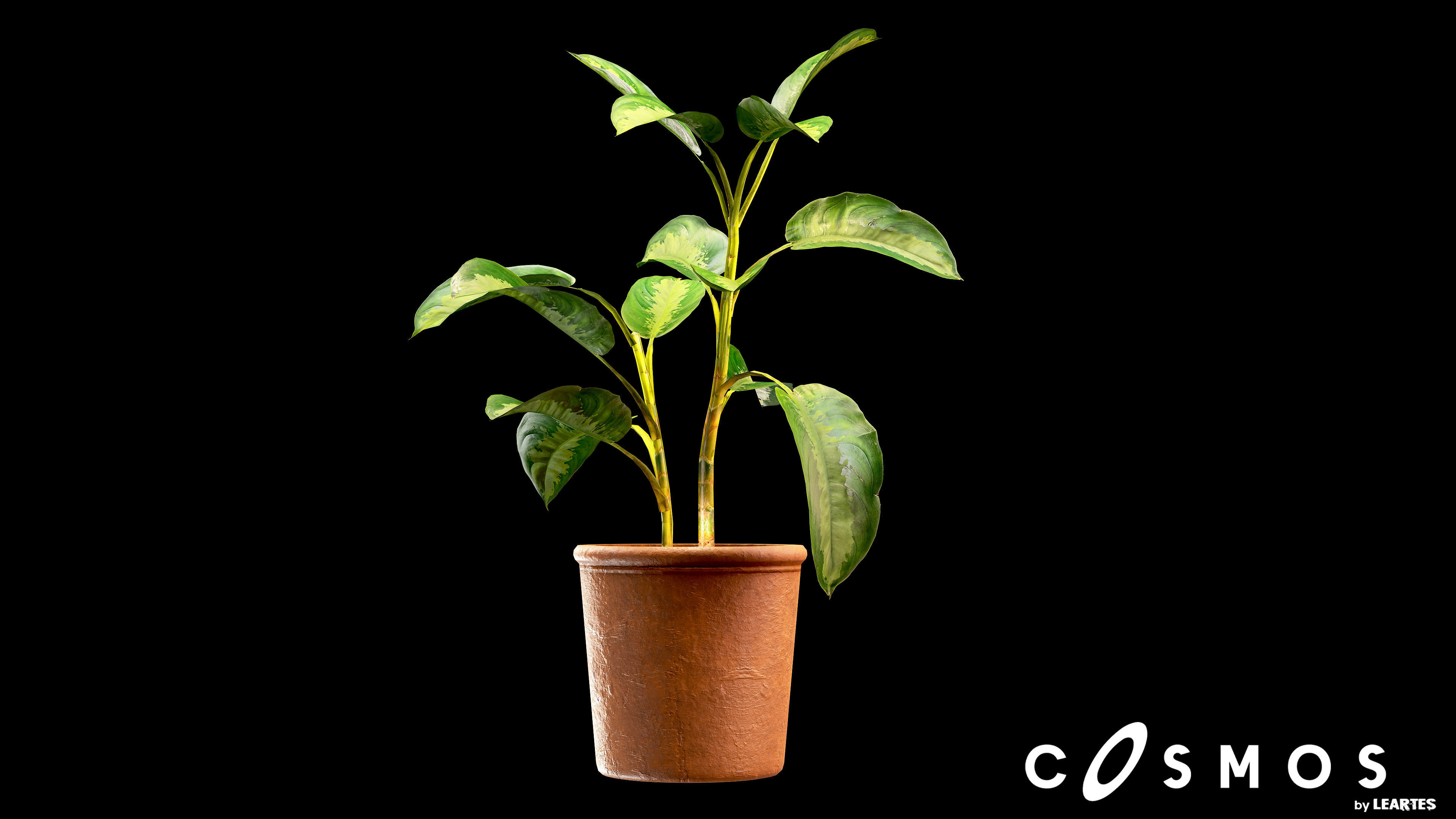 Flower Pot Low-poly 3D model_2