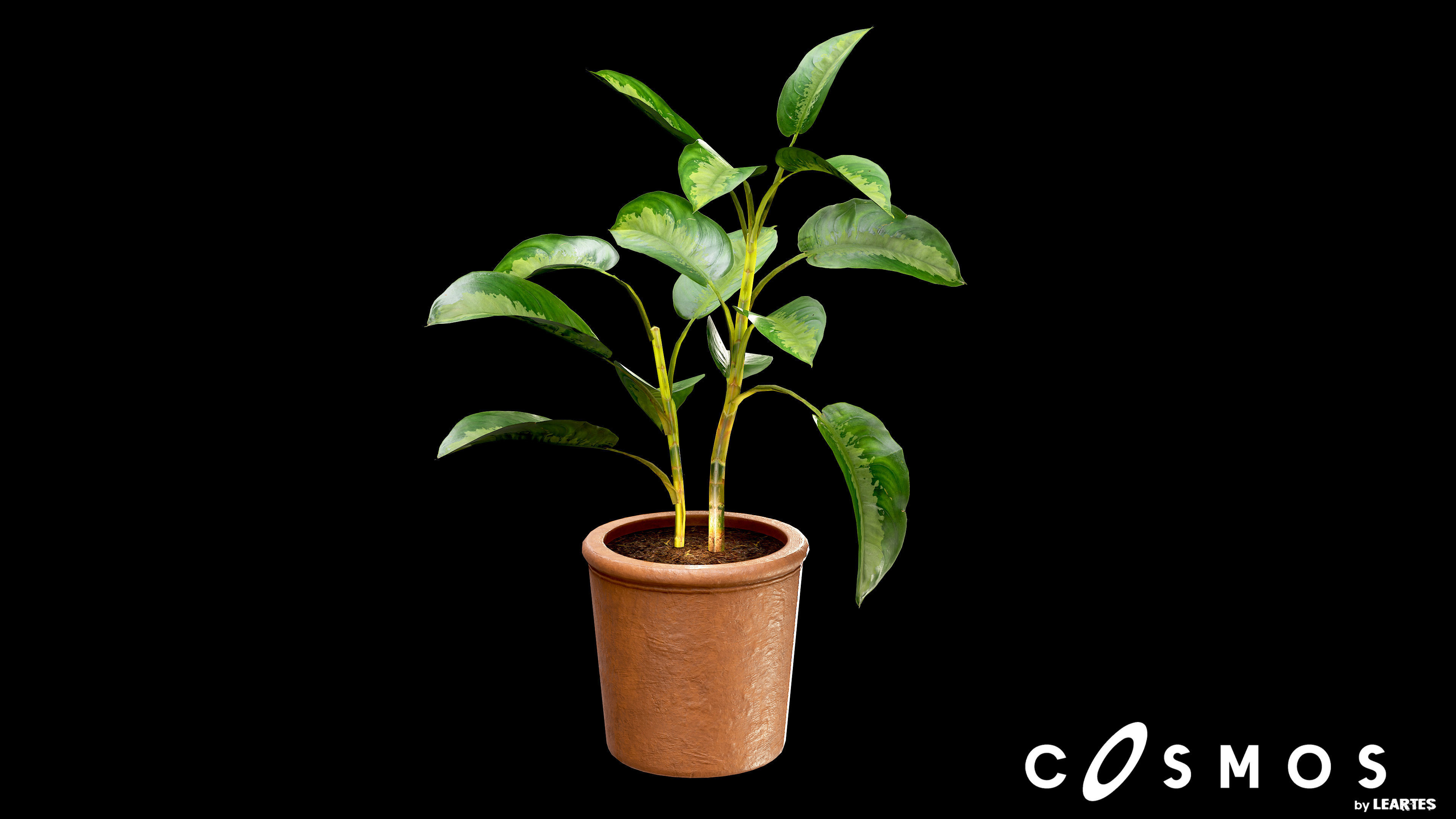 Flower Pot Low-poly 3D model_3