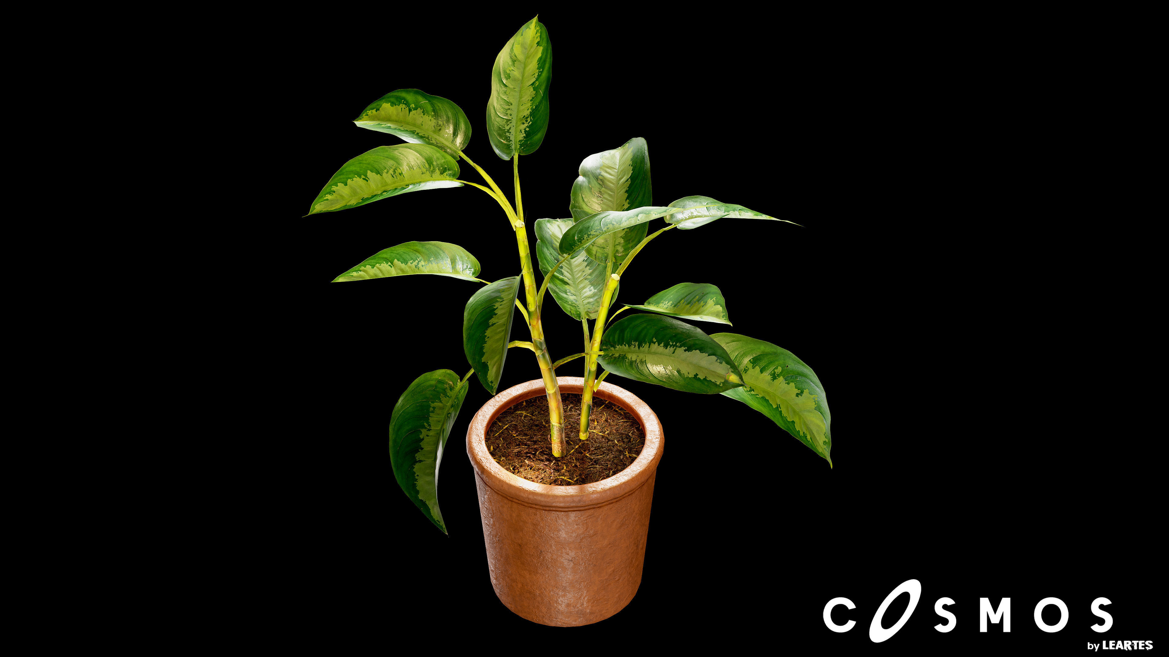 Flower Pot Low-poly 3D model_1