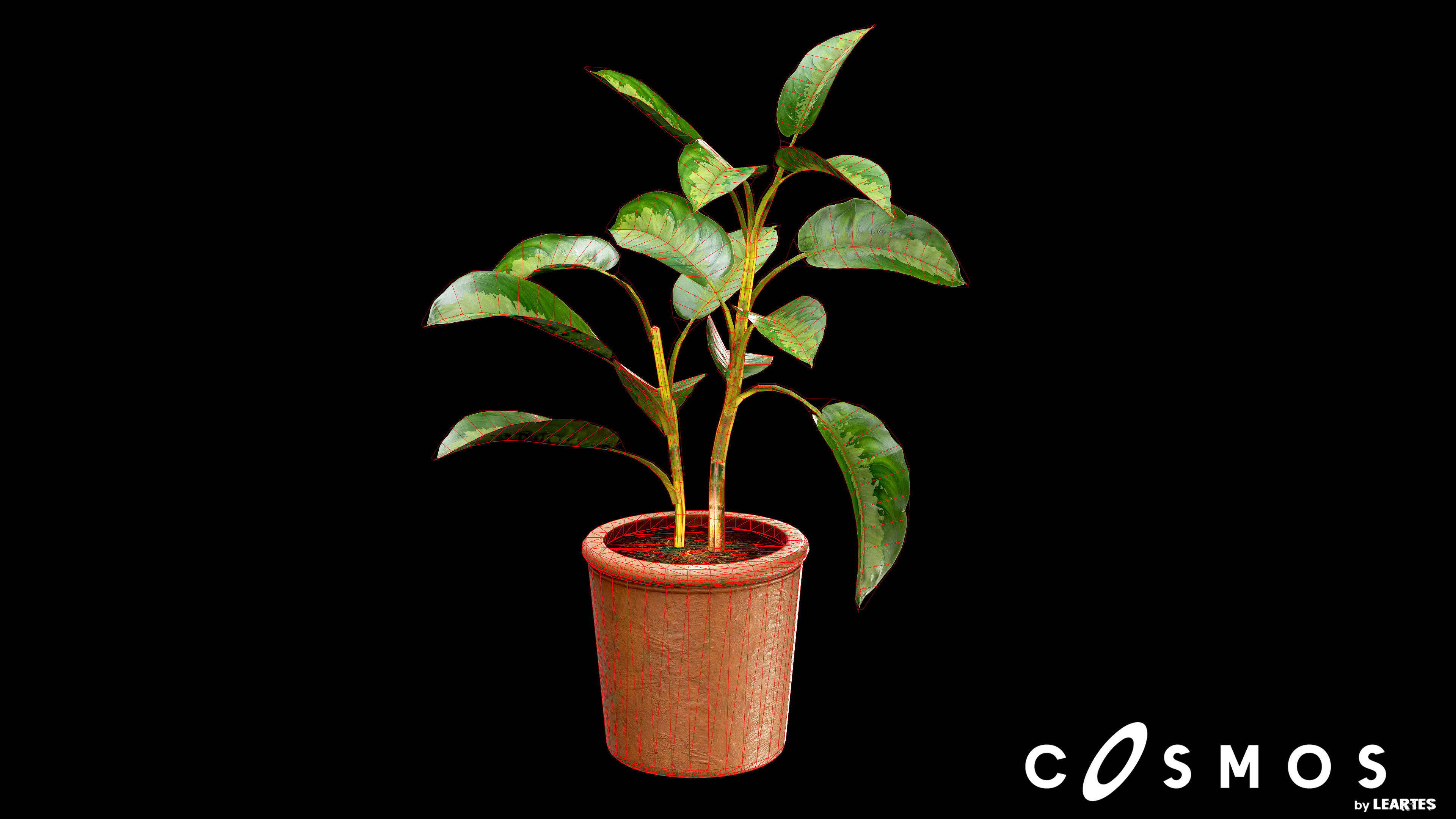 Flower Pot Low-poly 3D model_4