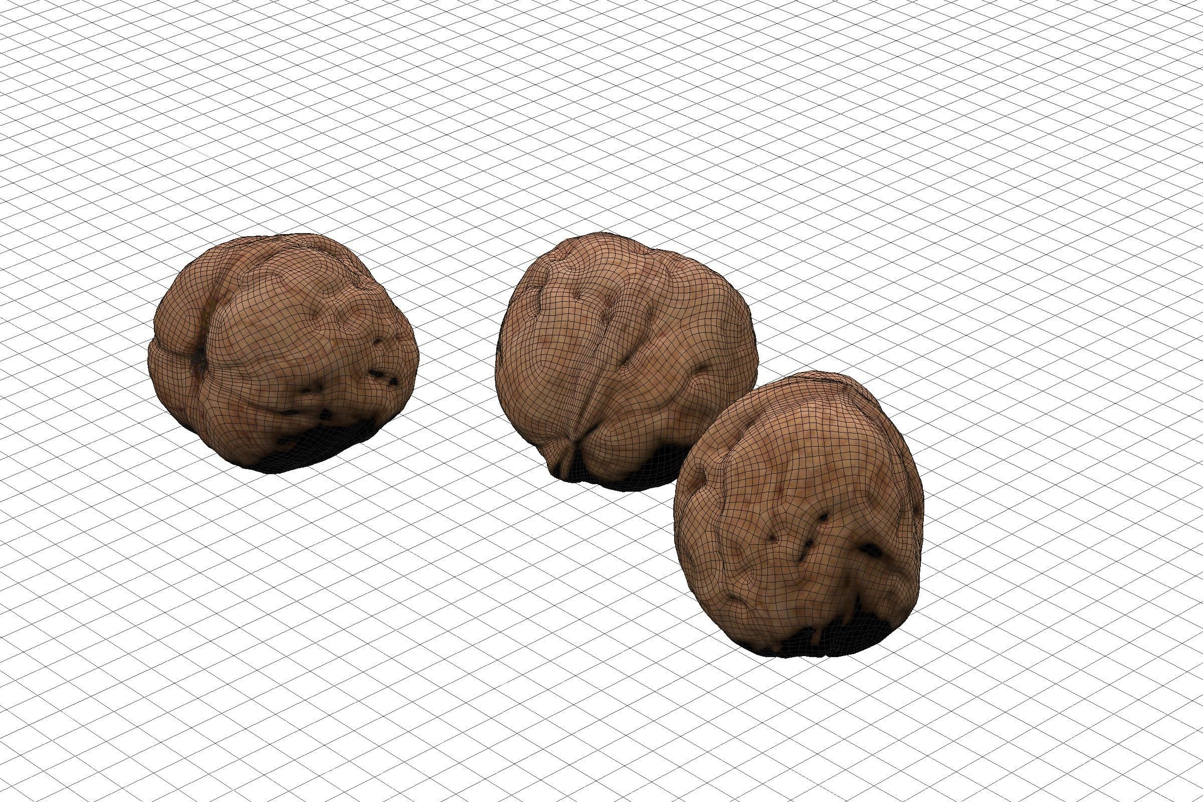 POLYPASTA - Walnut 02 3D model_6