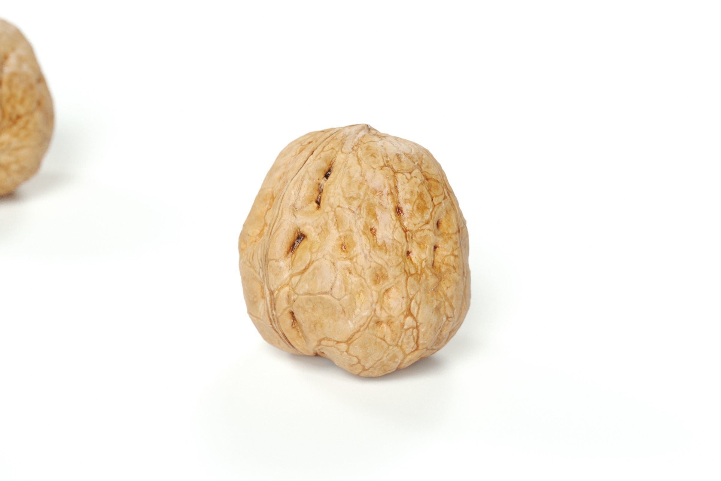 POLYPASTA - Walnut 02 3D model_1