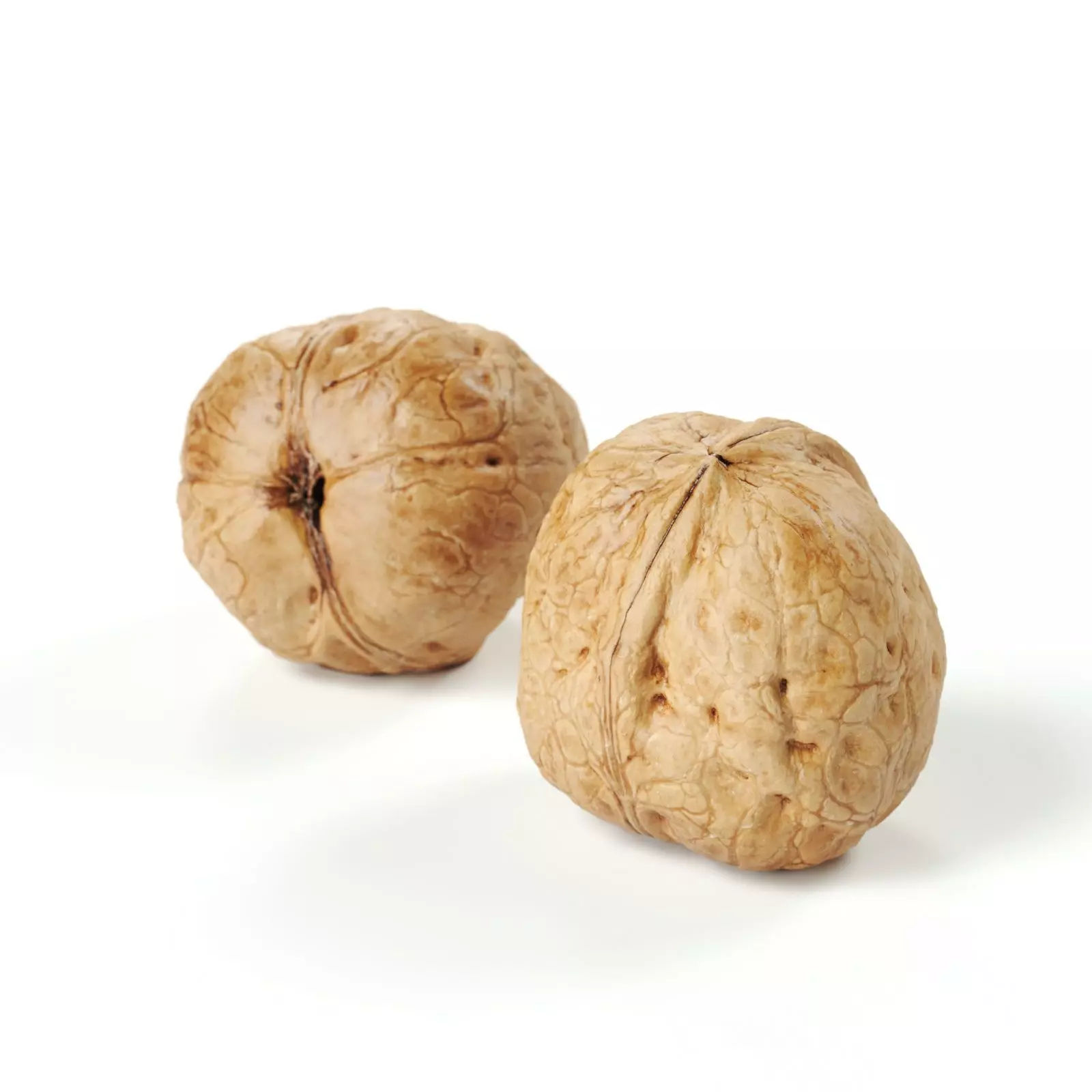 POLYPASTA - Walnut 02 3D model_0