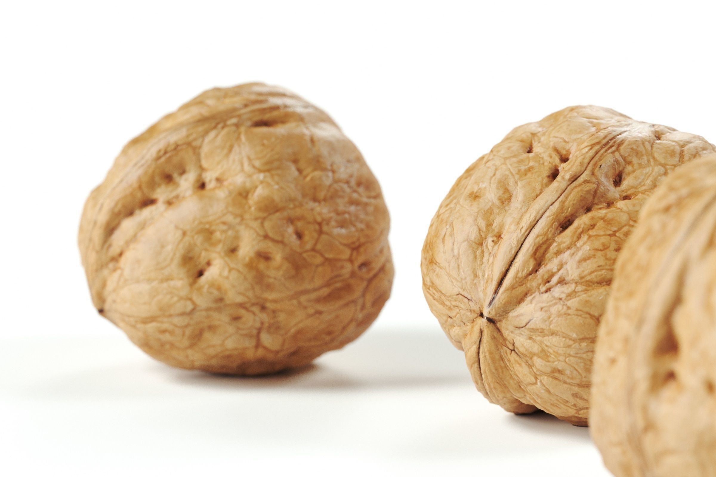 POLYPASTA - Walnut 02 3D model_2