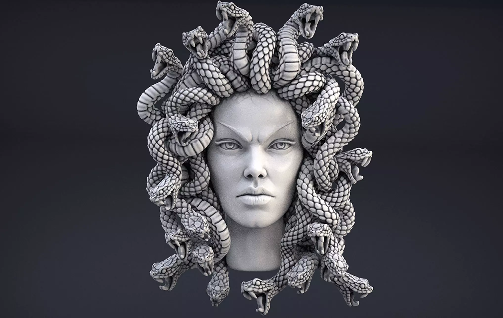 High Detailed Medusa Head 3D print model_0
